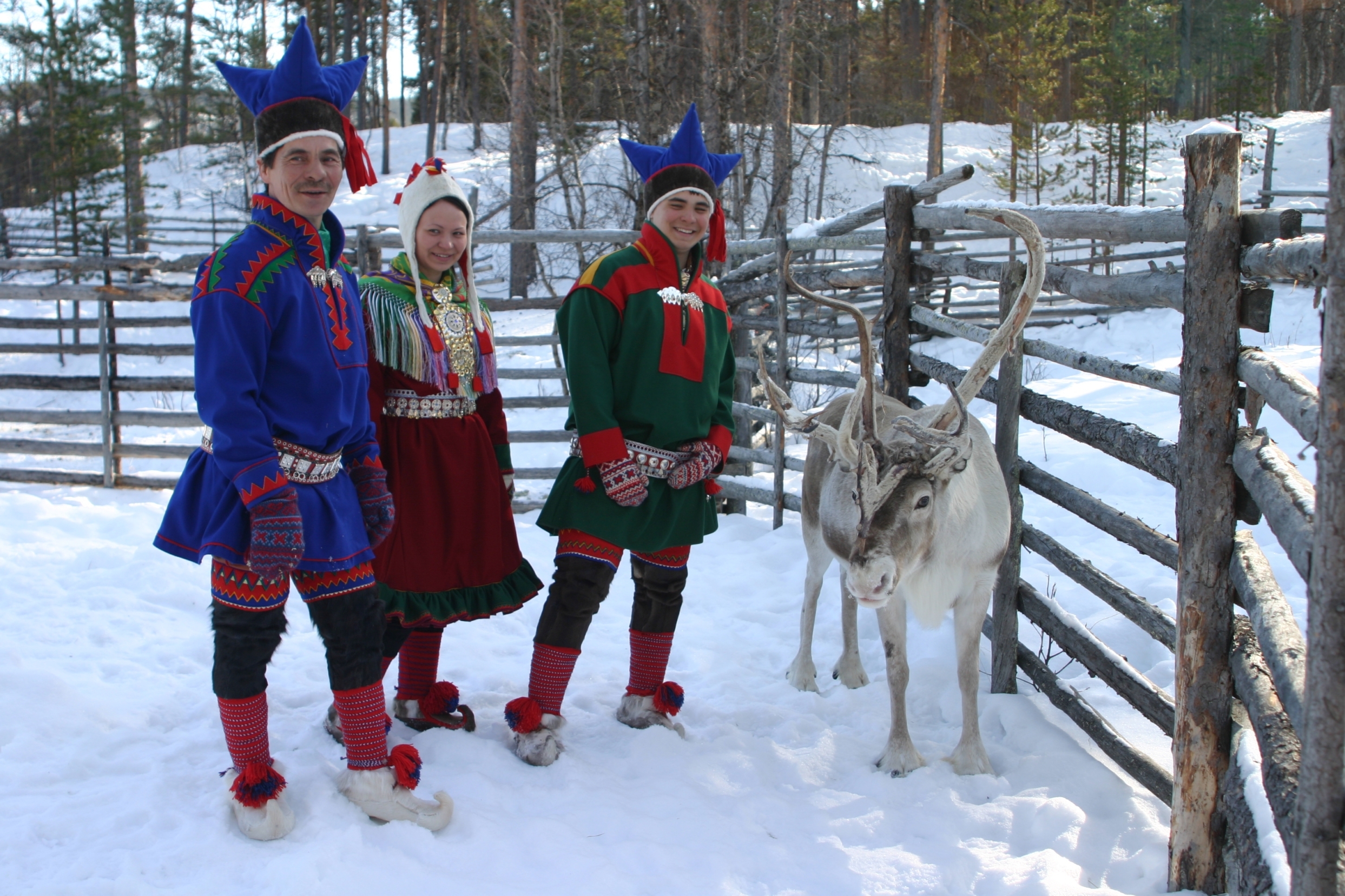 Reindeer herding family