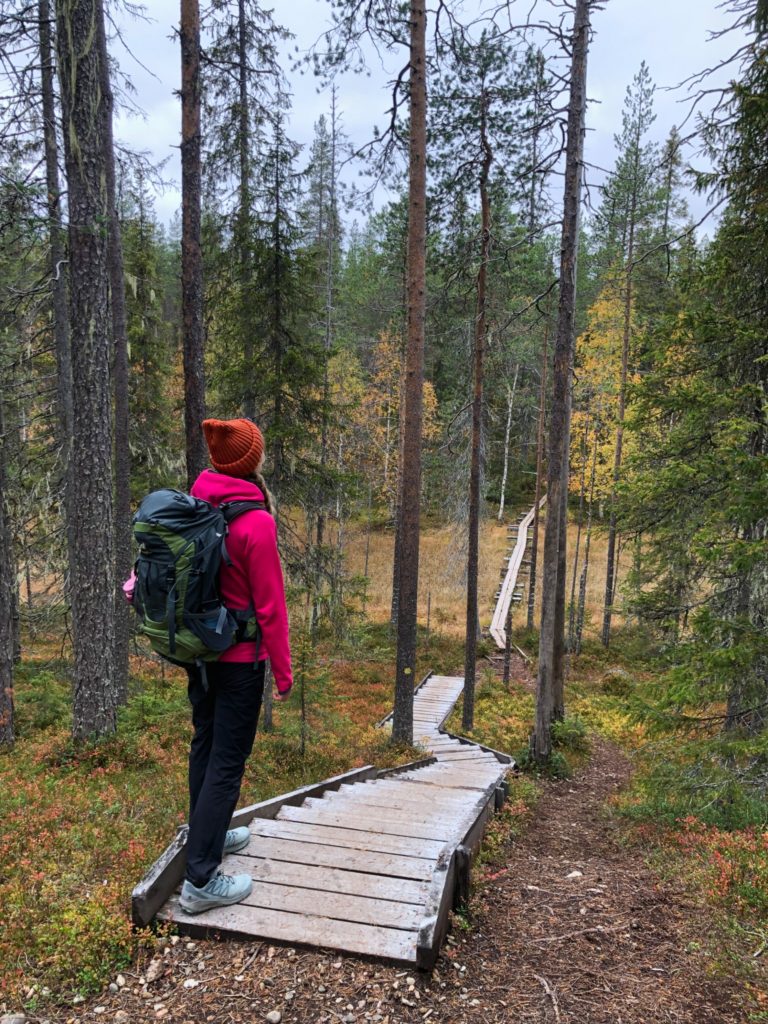 Národní park na podzim