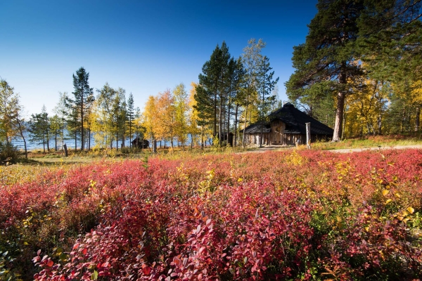 Nádherné podzimní barvy v Menesjärvi v Laponsku.